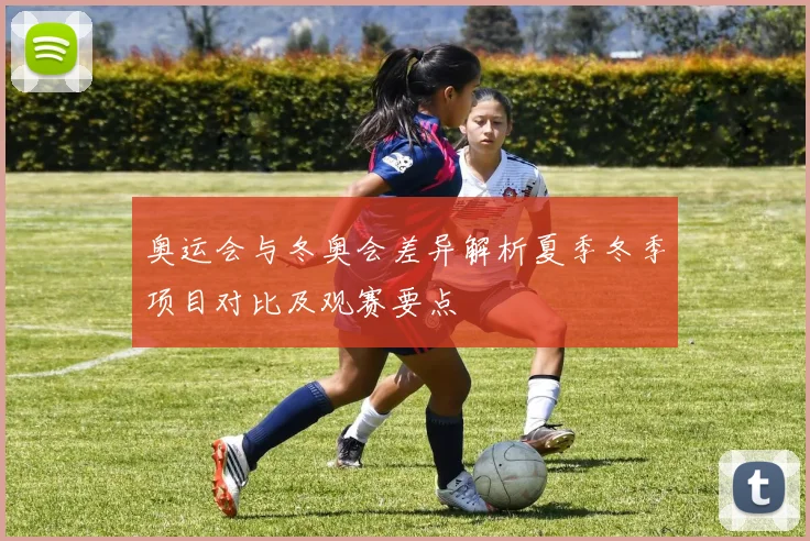 奥运会与冬奥会差异解析夏季冬季项目对比及观赛要点